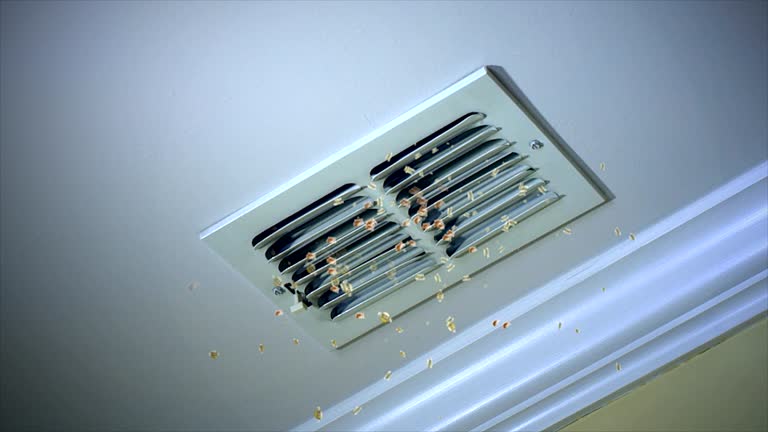Best Dryer Vent Cleaning Services  in Charlack, MO