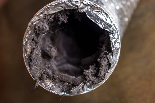 Best Dryer Vent Cleaning Services  in Charlack, MO